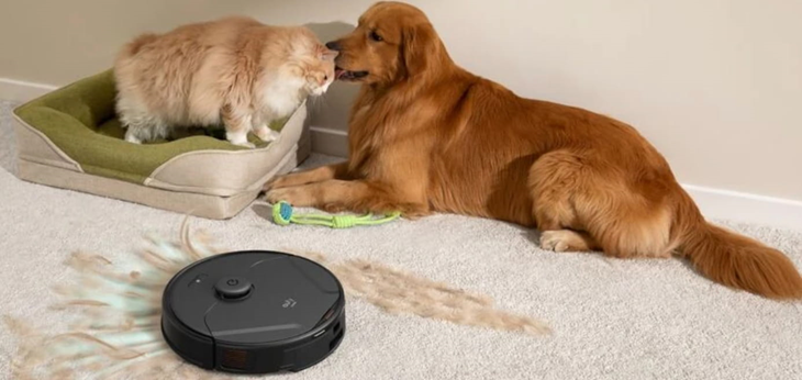 Why Does My House Smell Like Dog and How to Fix It?